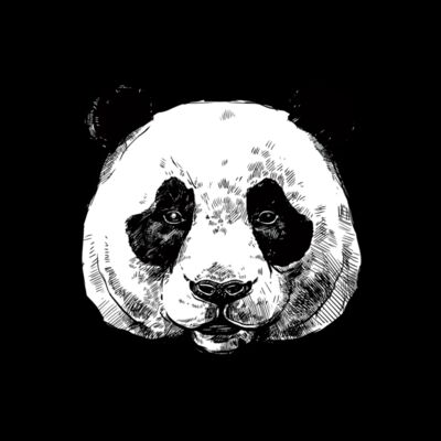 animals faces1 Thumbnail