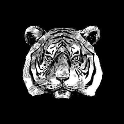 animals faces3 Thumbnail