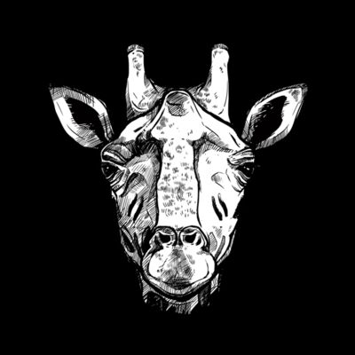 animals faces2 Thumbnail