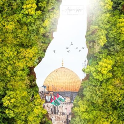 WhatsApp Image 2022 12 26 at 5 41 12 PM Thumbnail